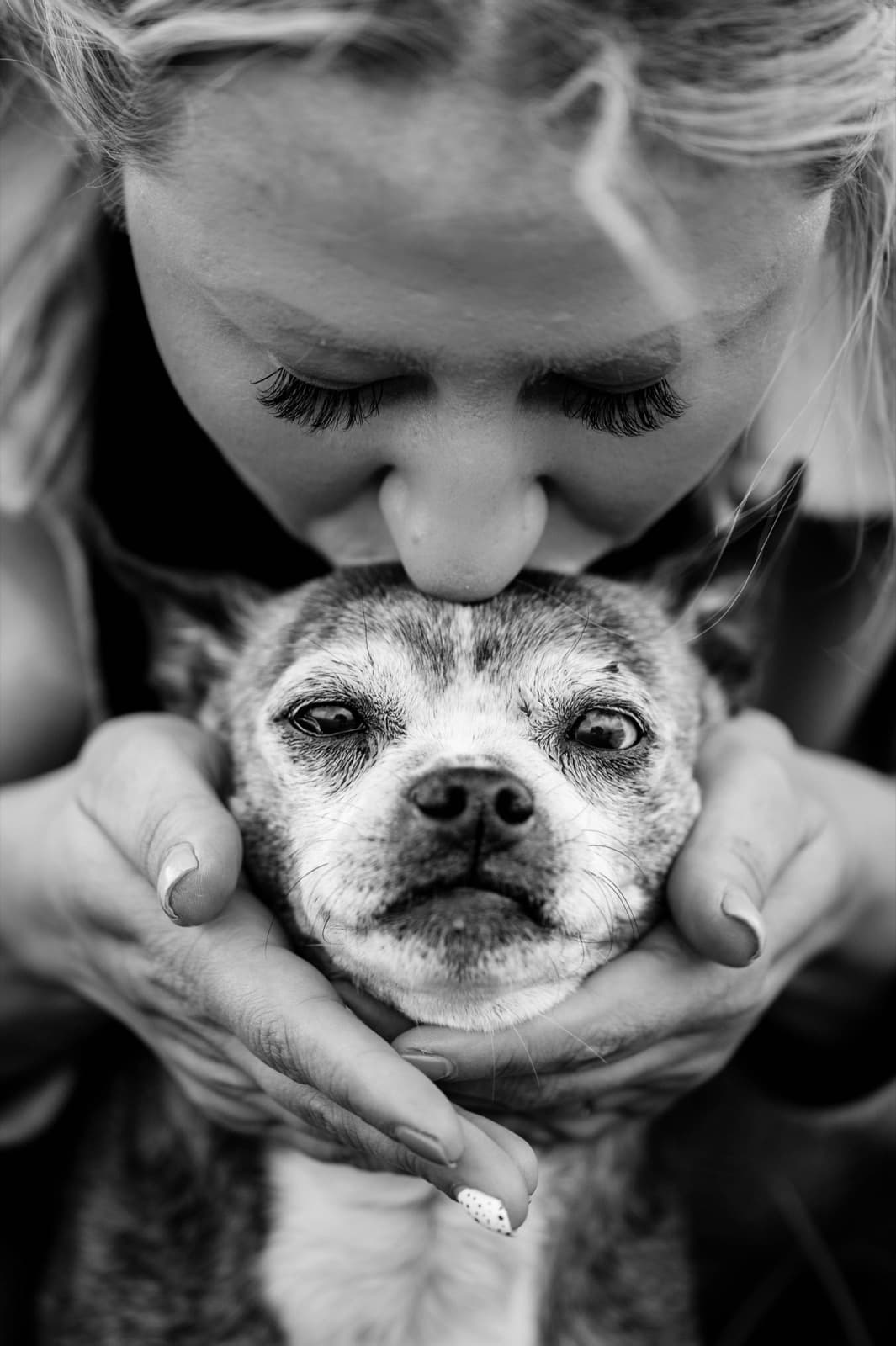 Un moment de tendresse entre une personne et son animal